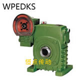 WPEDKS蝸輪蝸杆減速機